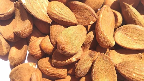 تصویر 2 از قیمت خرید مغز بادام مامایی + فروش ویژه